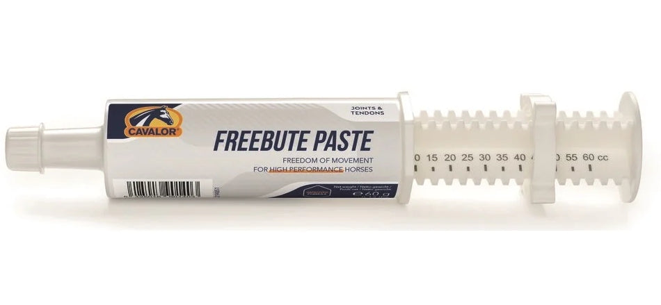 FreeBute Paste 60g Syringe Single