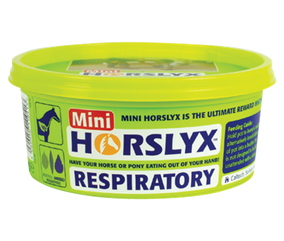 Horslyx Respiratory Mini Vit & Mineral Lick 650g